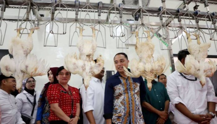 Surabaya Resmikan RPH Unggas Modern Berkapasitas 5.000 Ekor, Jaga Harga dan Higienitas.