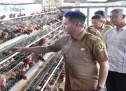 Blitar Produsen Telur Terbesar di Jatim, Kini Kembangkan Produk Olahan Tembus Pasar Ekspor