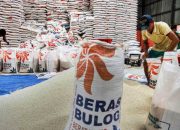 Redam “Panic Buying”, Wamentan Pastikan Cadangan Beras Bulog Siap Didistribusikan