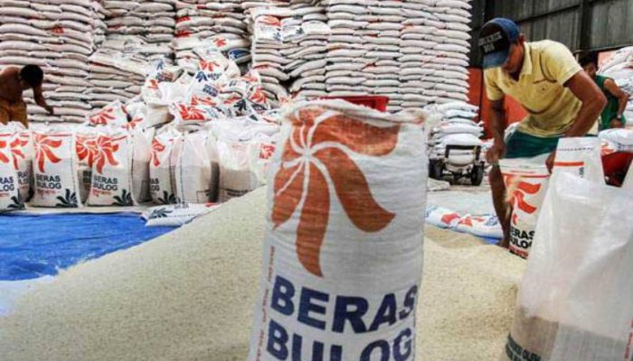 Redam “Panic Buying”, Wamentan Pastikan Cadangan Beras Bulog Siap Didistribusikan