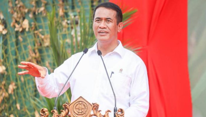 Pemerintah Jamin Pasokan Beras Aman, Harga Beras Turun