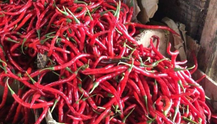 Harga Cabai Keriting di Kediri Naik Rp9.000 per Kilogram