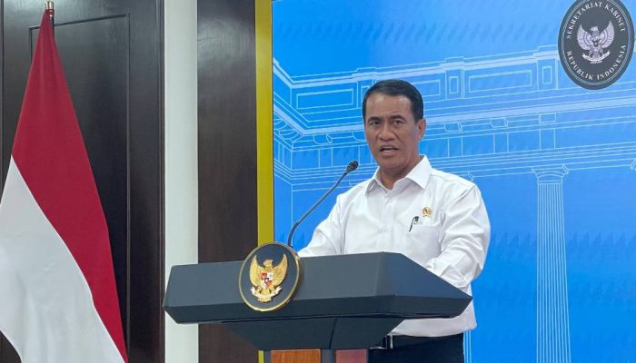Pemerintah Targetkan Setiap Pulau Swasembada Pangan dan Energi, Singkong Jadi Andalan Mandiri Energi