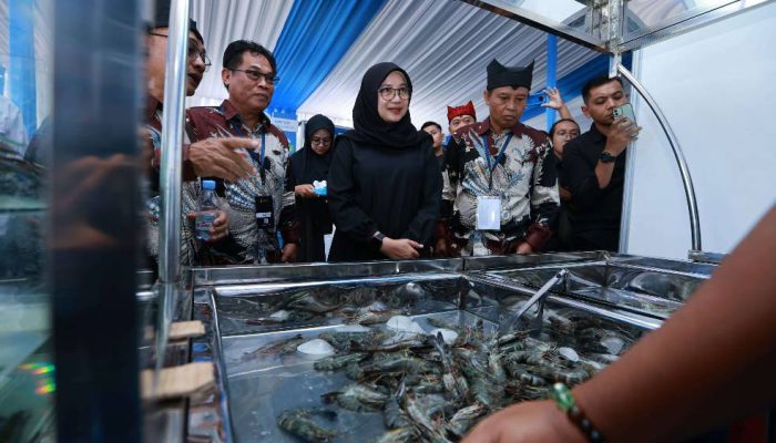 Ratusan Pelaku Industri Udang Bahas Ekspor ke AS dalam Shrimp Fair 2025 di Banyuwangi