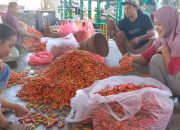 Harga Cabai Rawit Naik Rp2.000 per Kilogram di Pasar Induk Pare