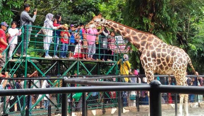 Seleksi Dirut KBS Surabaya Berlangsung Transparan, Pemkot Tegaskan Profesionalisme Proses