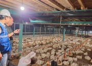 Awal Tahun, Tarif Listrik Seluruh Golongan Tetap hingga Maret 2026