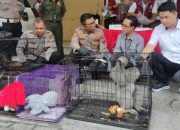 Polresta Sidoarjo Bongkar Perdagangan Satwa Dilindungi, Diduga Terhubung Pasar Gelap Internasional