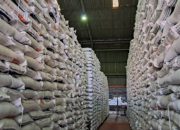 Stok Pangan Nasional Dipastikan Aman Meski Konflik Timteng Memanas