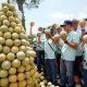 Program Pestani Melon Pantura Petrokimia Gresik Dongkrak Produktivitas Petani hingga 10 Persen