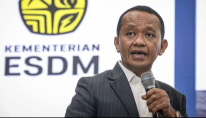 RI Incar Posisi Strategis sebagai Hub Energi ASEAN