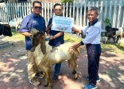 PT Terminal Teluk Lamong Perkuat Kepedulian Sosial Lewat Program Berbagi Kurban