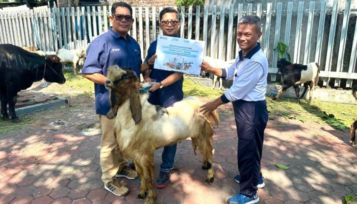 PT Terminal Teluk Lamong Perkuat Kepedulian Sosial Lewat Program Berbagi Kurban
