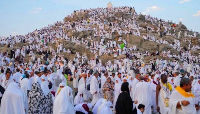 Musim Haji 2026 Catat Kenaikan Jemaah, Arab Saudi Optimalkan Pengelolaan Layanan