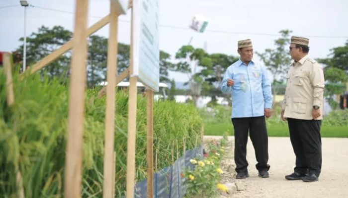 Presiden Prabowo Tegaskan Komitmen Swasembada Pangan dan Ekspor Nasional
