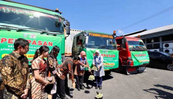 PT Pacific Harvest Ekspor 270 Ton Ikan Sarden dari Banyuwangi, Bidik Pasar Baru Afrika dan Asia