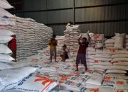 Surplus Beras, Banyuwangi Jadi Penopang Distribusi Beras ke Indonesia Timur