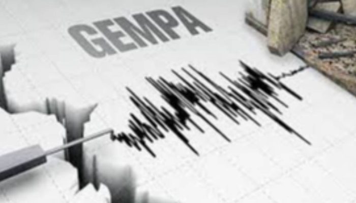 Gempa Hari Ini: Pacitan Diguncang M 2,9, Tidak Berpotensi Tsunami