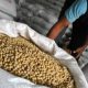 Kemenko Pangan Fokus pada Lahan, Benih Unggul, dan Perlindungan Produksi Dalam Negeri.