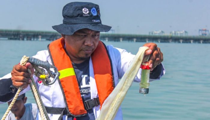 TTL dan BRIN Sinergi Hadirkan Data Ilmiah untuk Pelestarian Ekosistem Teluk Lamong