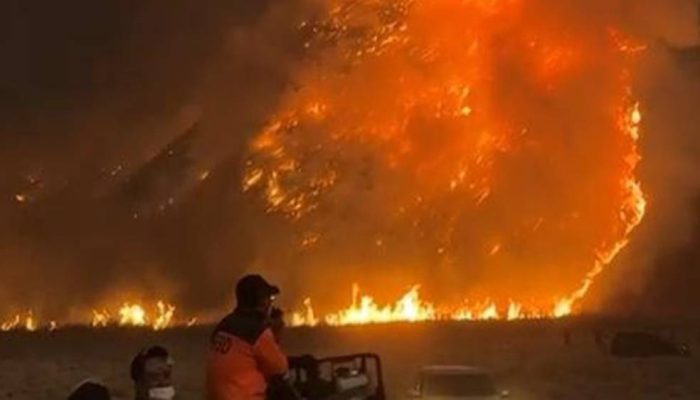 Kebakaran Kaldera Meluas, TNBTS Tutup Total Akses Wisata Gunung Bromo