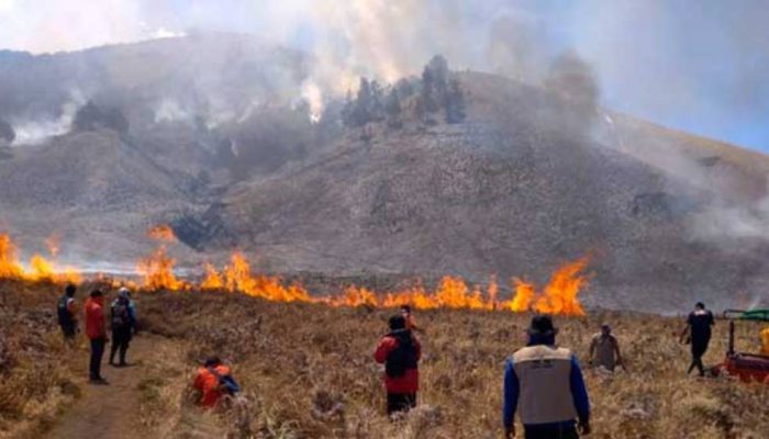 Bromo Dibuka Kembali 20 Agustus, Pemerintah Ingatkan Ancaman Kebakaran dan Dampak Ekowisata