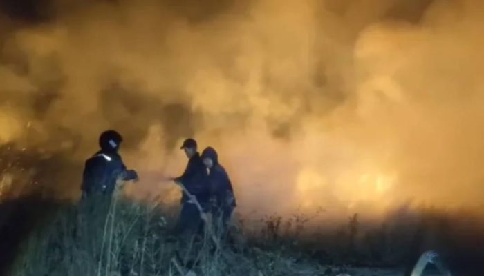 BPBD Banyuwangi Tetapkan 4 Kecamatan Zona Merah Rawan Kebakaran Hutan