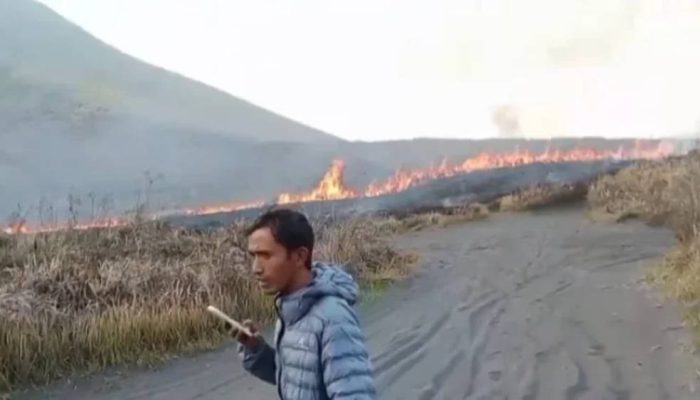Api Bakar Savana Lembah Watangan, Karhutla Bromo Sulit Dikendalikan