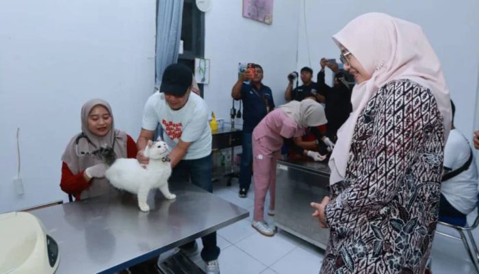 Warga Banyuwangi Antusias Bawa Kucing dan Anjing Ikuti Vaksinasi Rabies Gratis