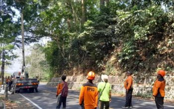 Gunung Gumitir Jember Rawan Gerusan Tanah, Retakan Jalan 30 Meter Ditangani