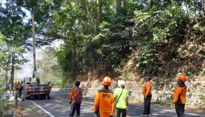 Gunung Gumitir Jember Rawan Gerusan Tanah, Retakan Jalan 30 Meter Ditangani
