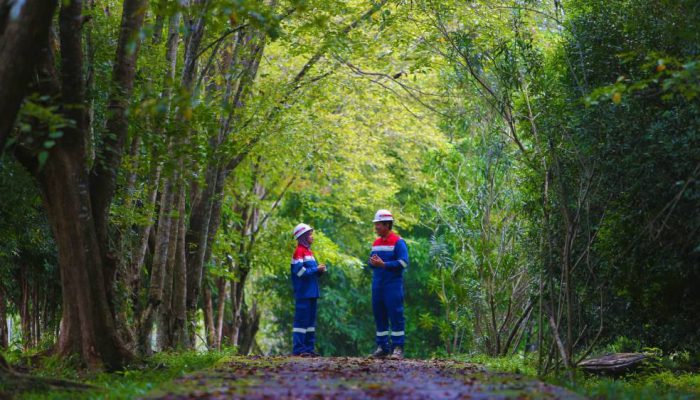 1. Dekarbonisasi PGN Lampaui Target, Penurunan Emisi Kumulatif Capai 68.500 Ton