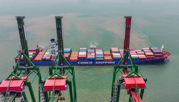 Lima Tahun Bersama Pelindo, Terminal Teluk Lamong Perkuat Layanan dan Daya Saing Logistik