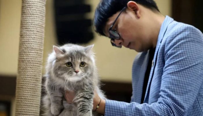Prana Satwa Brawijaya 2026 di UB, dari Ayam Hias Jepang hingga Reptil Eksotis