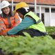 Resilien di Tengah Overcapacity, Laba Bersih SIG Melonjak 363,1% Jadi Rp532 Miliar per Kuartal III/2026